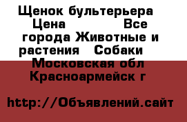 Щенок бультерьера › Цена ­ 35 000 - Все города Животные и растения » Собаки   . Московская обл.,Красноармейск г.